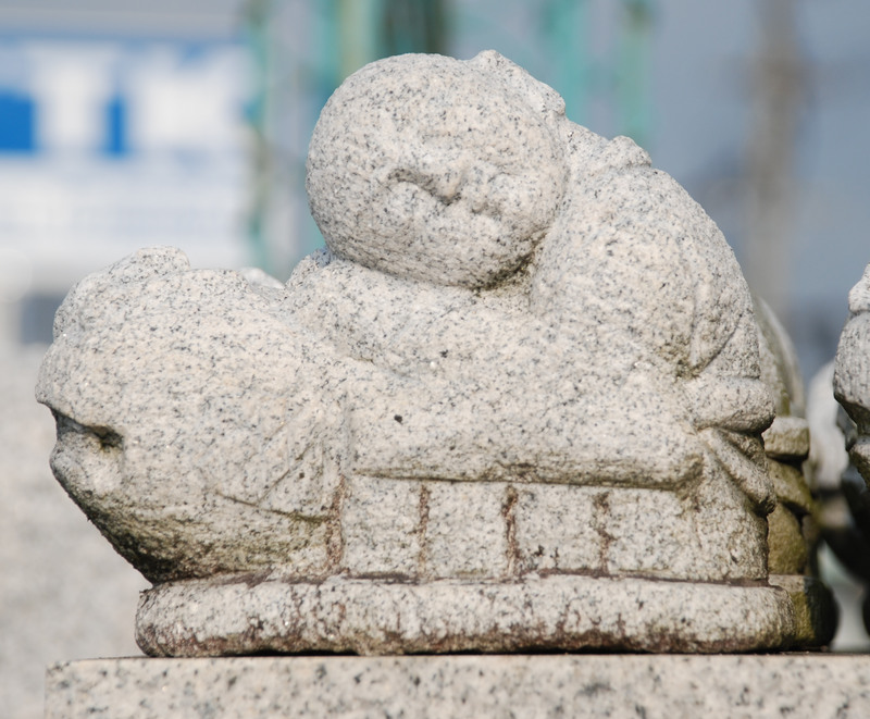 一休さん 白 | 造園資材館