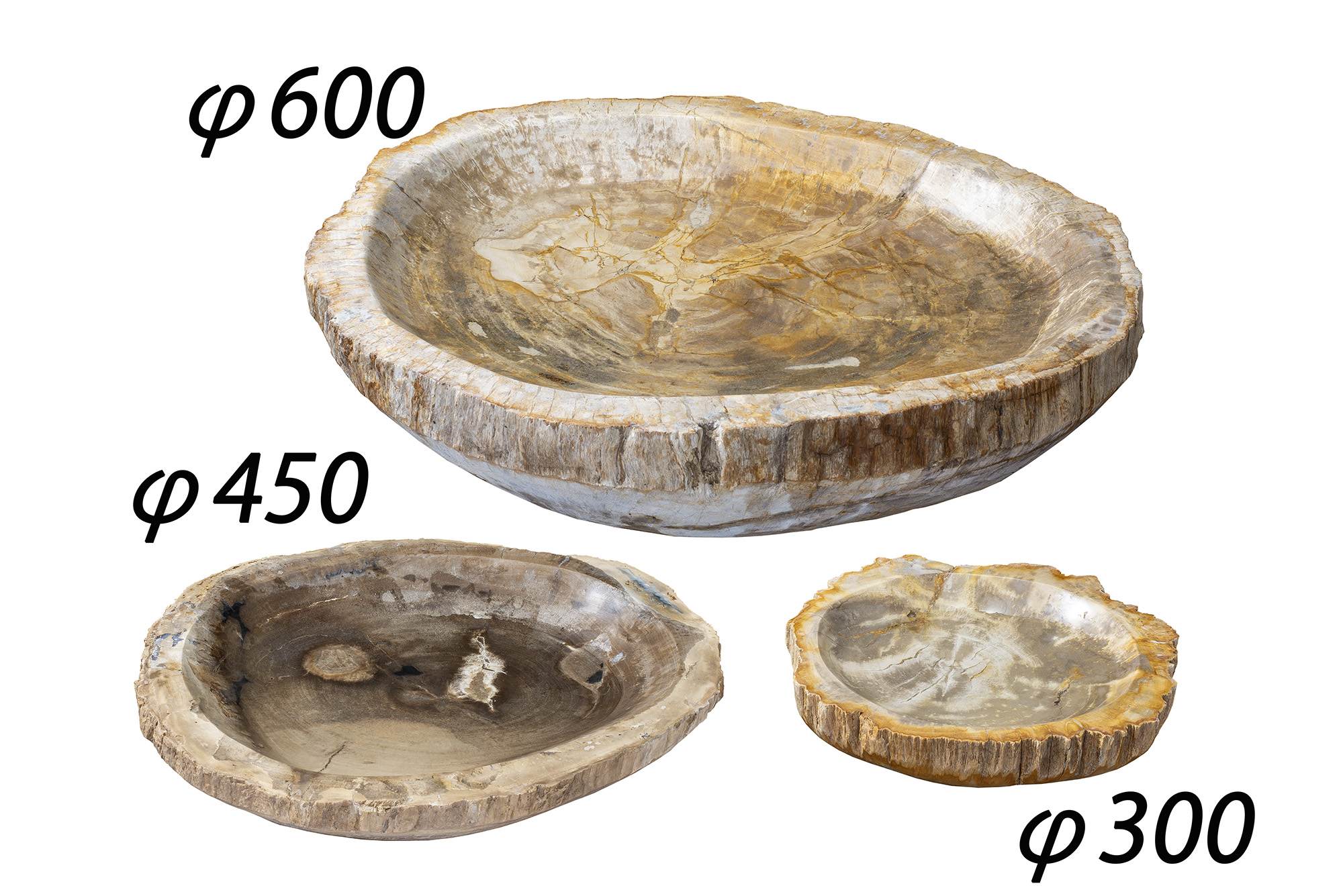 珪化木　水盤 | 造園資材館