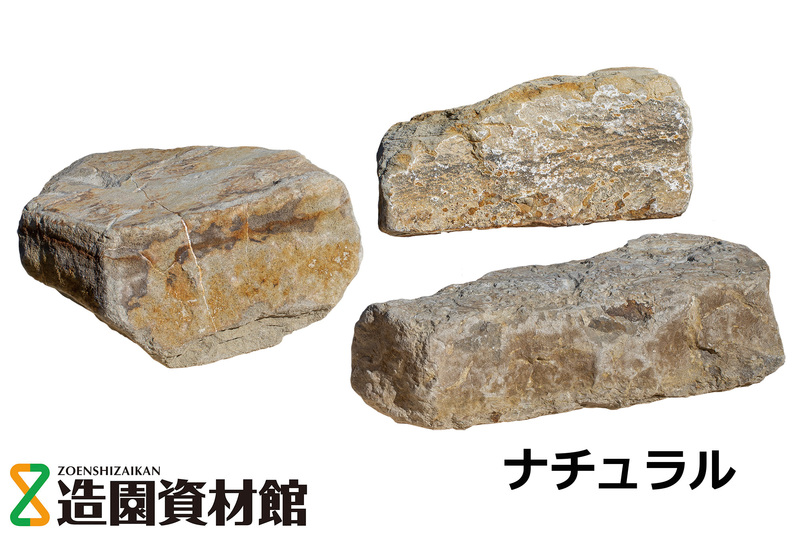 コルテミーリア ウォーリング | 造園資材館