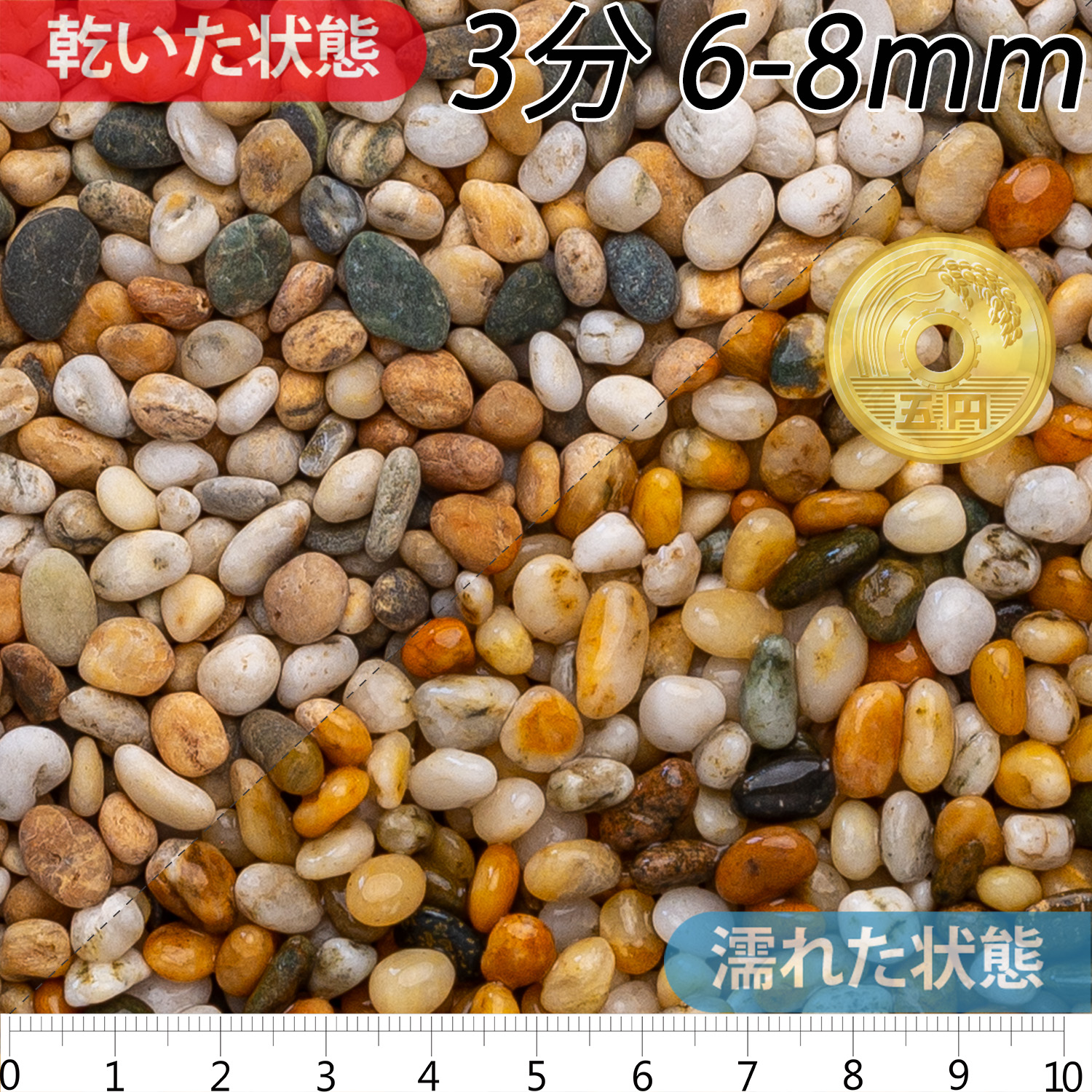 フリージア ドライ | 造園資材館