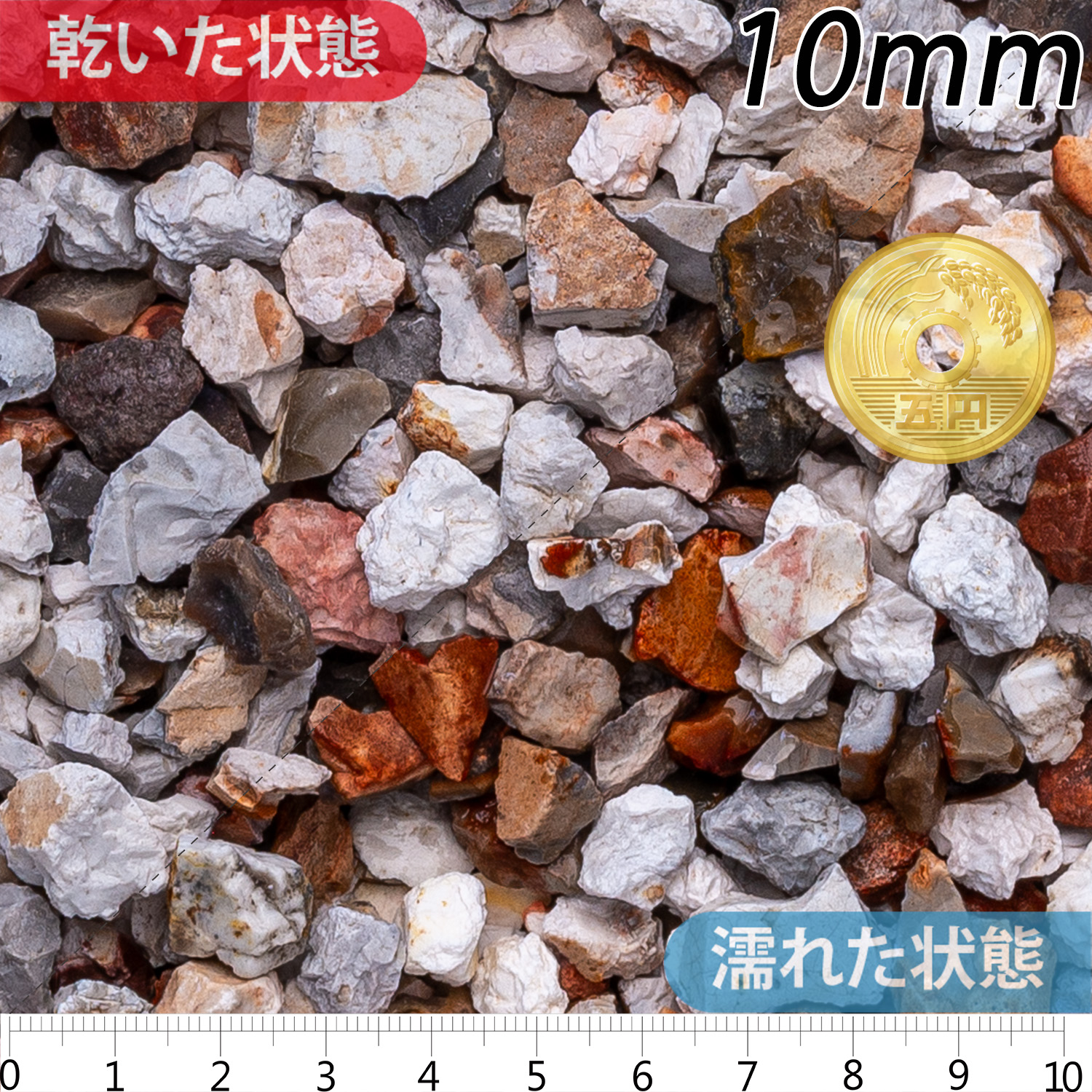 カンタベリースパー | 造園資材館