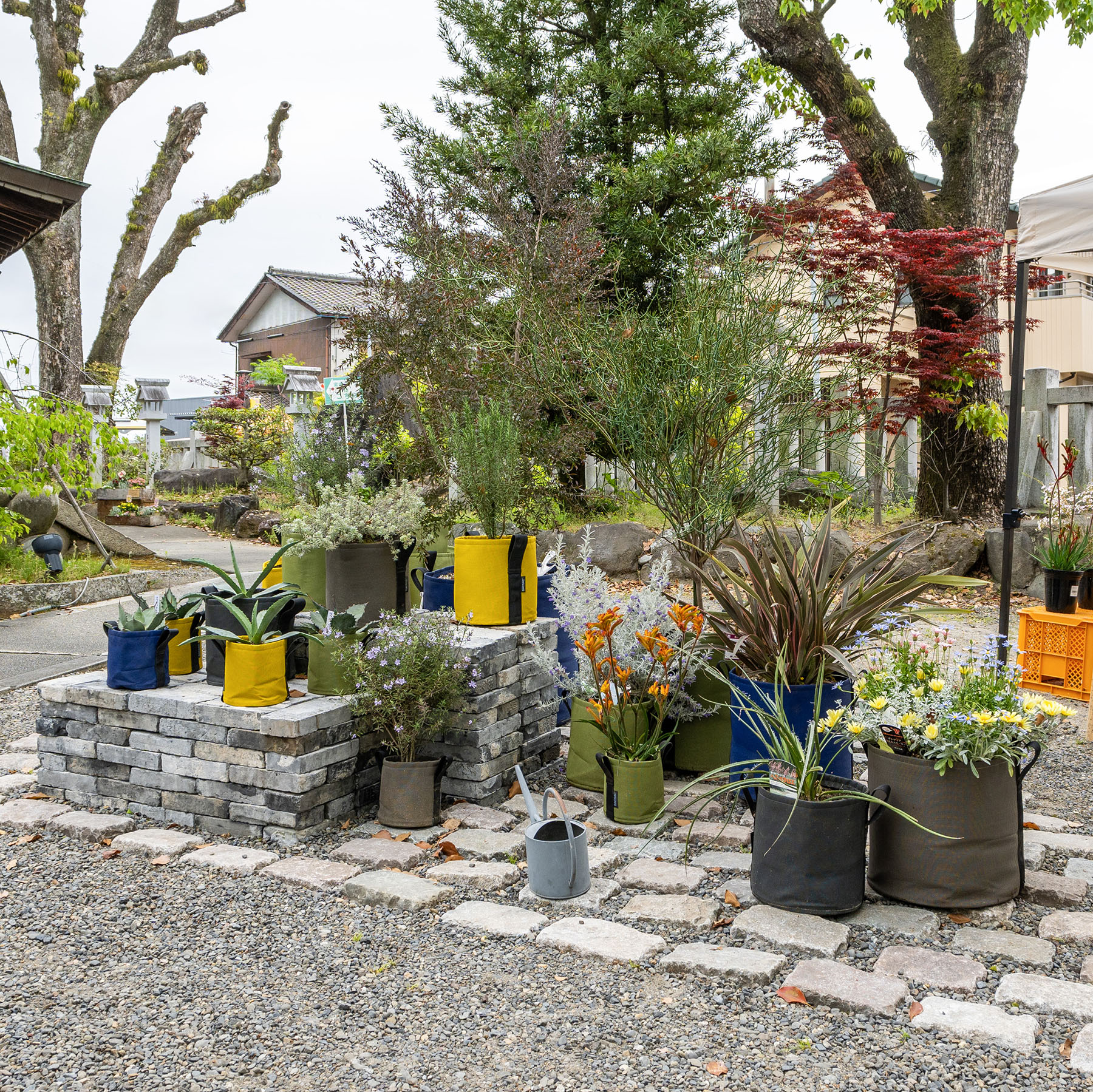 バックサック ポット CLASSIC | 造園資材館