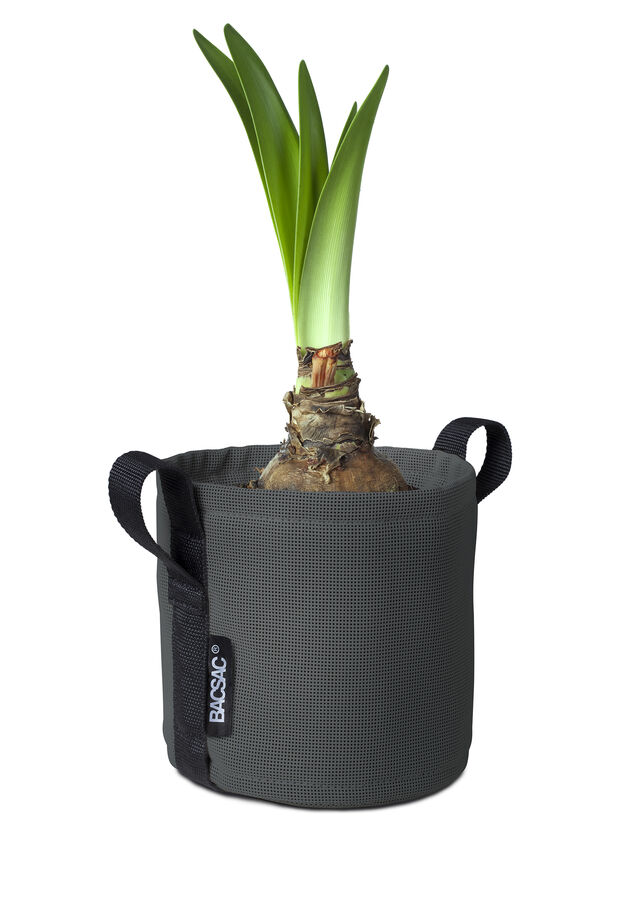 バックサック ポット ASPHALTE | 造園資材館