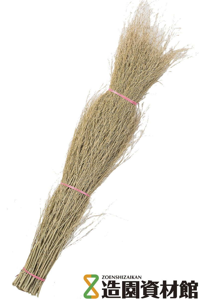 孟宗枝（阿） | 造園資材館