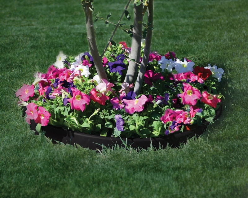 サークルエッジ 小サイズ | 造園資材館