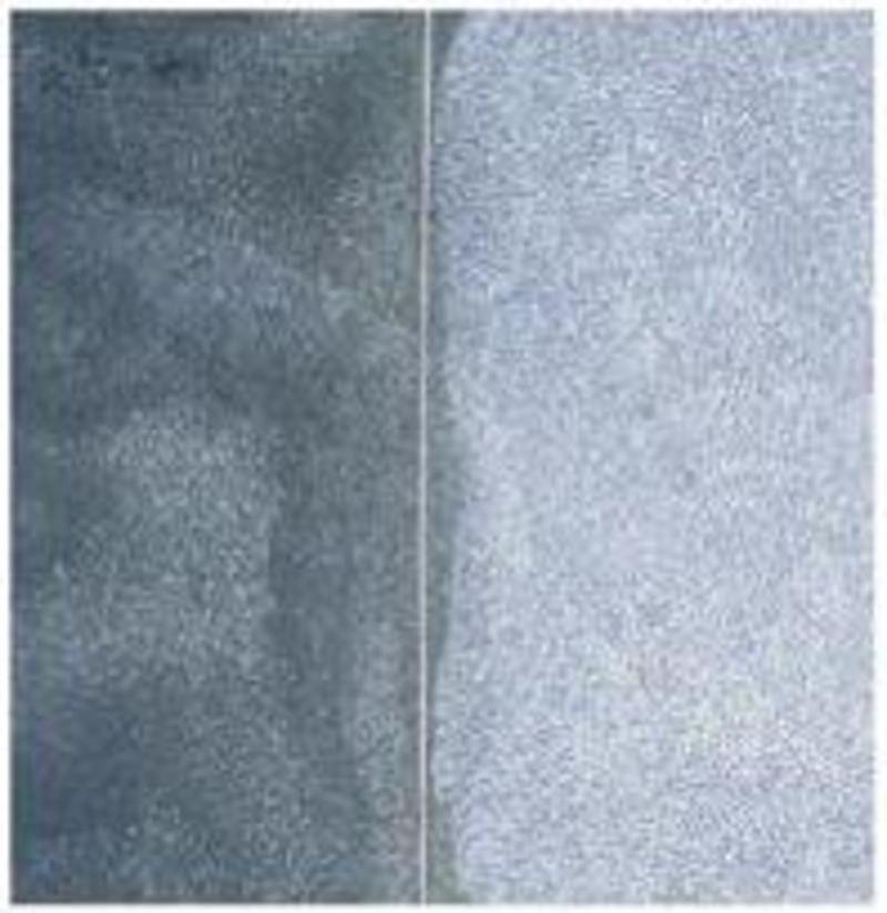 イシノールハクリ　 | 造園資材館