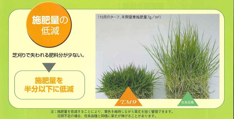 芝生 TM-9 | 造園資材館